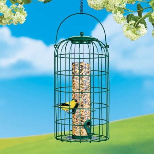Squirrel Proof Caged Clear Tube Bird Feeder
