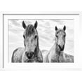 thumbnail image 2 of Art.com White Horses, Camargue, France Photographic Print by Nadia Isakova, White Frame Wall Art, 23" x 17", 2 of 5