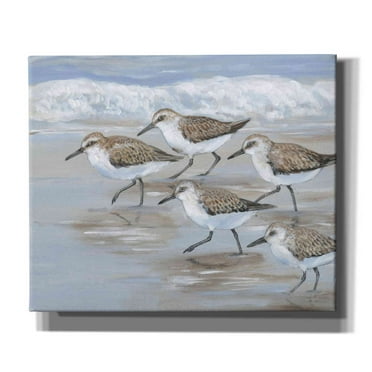 Epic Graffiti 'Sandpipers I' by Tim O'Toole, Canvas Wall Art, 24"x20"