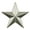 Silver, variant on PinMart's Military 3D 5 Point Gold Star Lapel Pin