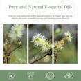 thumbnail image 6 of 3.38 Fl Oz Cajeput Essential Oils for Hair, Skin, Diffuser, Aromatherapy, DIY Soap Making Scent, 6 of 8