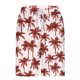 thumbnail image 5 of Pantalones Cortos Casuales para Hombre Imprimir con Bolsillos Pantalones de Playa de Cintura Elástica, Pantalones Cortos de Cintura Elástica para Hombre, 5 of 6