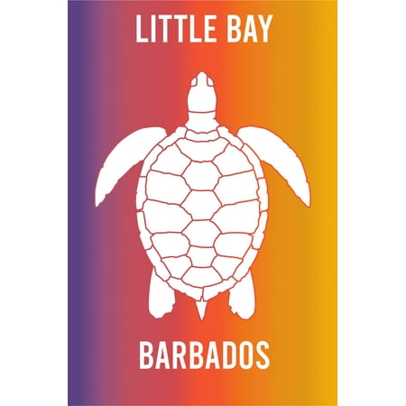 

Little Bay Anguilla Souvenir 2x3 Inch Fridge Magnet Turtle Design