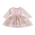 thumbnail image 1 of AMERTEER Fille Automne Robe Manches Longues Col Rond Broderie Florale Dentelle Robe Enfants Tulle Robe, 1 of 6