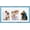 Blue, variant on 8x10 Double Picture Frame White Mat For Displaying Two 4x6 Pictures, Photo Frame for Wall Mounting or Tabletop, Black.