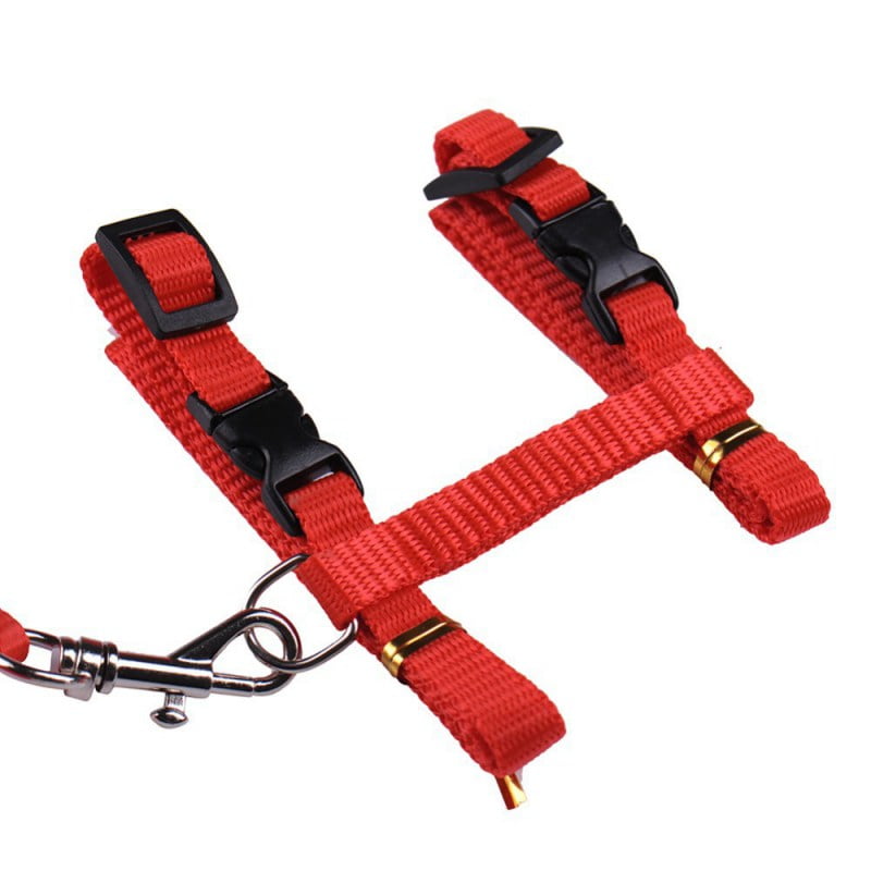 Adjustable Pet Cat Traction Rope Dog Cat Walk Out Nylon Harness Collar