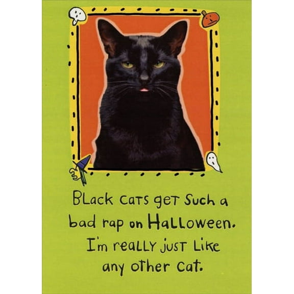 Recycled Paper Greetings Black Cats Get Bad Rap Funny Halloween Card
