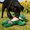 Dark Green, variant on 6 Inch, Large, Green, Dotted Frog, Dog Toy - Frog-Shaped, Dotted Pattern, For Chewing, And Tossing, Interactive Play - For Small To Medium Dogs, Puppies, Pets, Indoor,