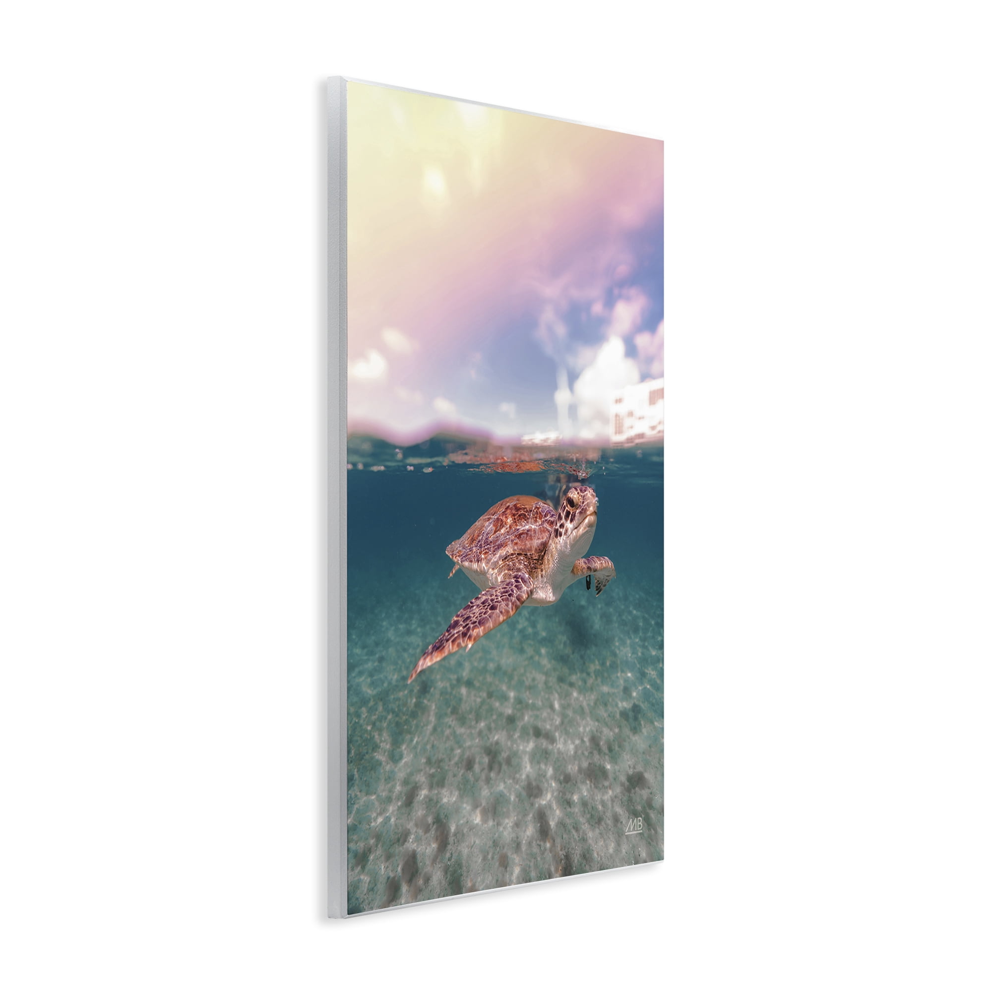 Stupell Industries Above & Below Sea Turtle Animals Photography Unframed Art Print Wall Art, 13 x 19