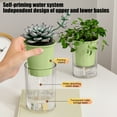 thumbnail image 4 of Summercome Self-Watering Planter, Clear Plastic Automatic-Watering Planter Flower Pot Round-Plant-Pot for All Plants, Succulents, Herb, African Violets, Flowers (Green), 4 of 7
