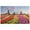 As Show, variant on Fridja Adults Puzzles 500 Piece Large Puzzle Game Interesting Toys - Netherlands Flower Sea