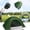 Green, variant on 2-3 Person Instant Pop Up Lightweight Camping Tent, Outdoor Easy Set Up Automatic Family Travel Tent,Portable Backpacking Ultralight Waterproof Windproof Anti-UV Sun Shelter Tent, Green