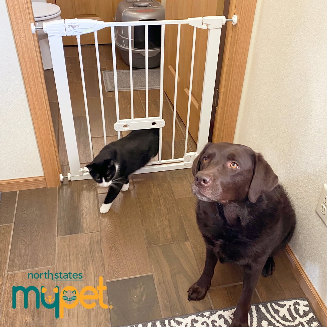North States MyPet Wide Metal Walk Thru EasyPass Pet Gate with Doggy Door, Expands to 37.5" Wide