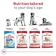 thumbnail image 4 of Croquetas para Perro Royal Canin Adulto Razas Medianas 13.6 Kg, 4 of 4