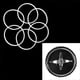 thumbnail image 2 of 8-Pack Replacement Sealing Rings for Magic Bullet 250W Blender, 2 of 5