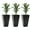 Black, variant on Canddidliike Set of 3 Tall Planters with Drainage Hole, 28" Flower Plant Pots for Outdoor as Porch Patio and Deck, Gray