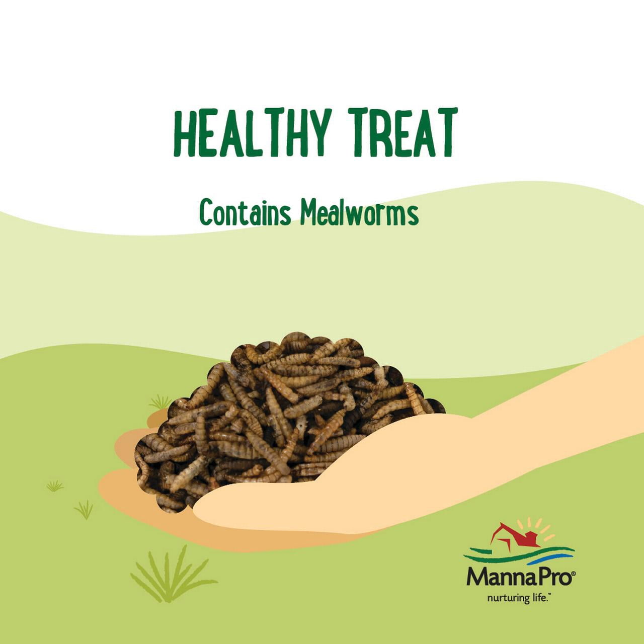 (2 pack) Manna Pro Farmhouse Favorites Mealworms 5lb
