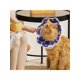 thumbnail image 3 of Protective Adjustable Pet Cone Collar for After Surgery, Lightweight Elizabethan Collar for Cat Kitten Prevent from Licking Wounds, Not Block Vision, 3 of 5