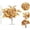 A, variant on Qholemyo Mini Artificial Maple Leaf Bouquet Fall Decor Halloween Decor Faux Floral Vase Filler For Table Mantel Home Decor