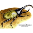 thumbnail image 3 of CafePress - Hercules Beetle Mug - 11 oz Ceramic Mug - Novelty Coffee Tea Cup, 3 of 6