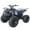 Blue, variant on RPS 125cc ATV Rider 8 Big Tire