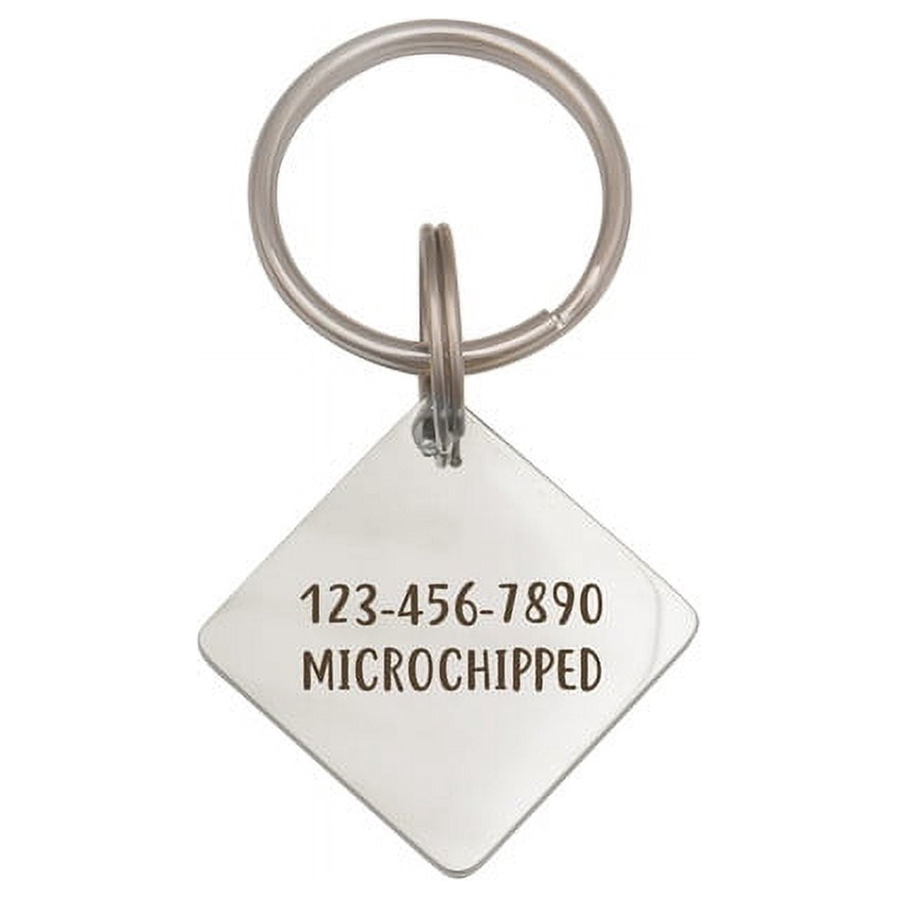 Anavia Stainless Steel Double Sided Diamond Name - Frame Engraved Dog & Cat ID Tag, Silver, L