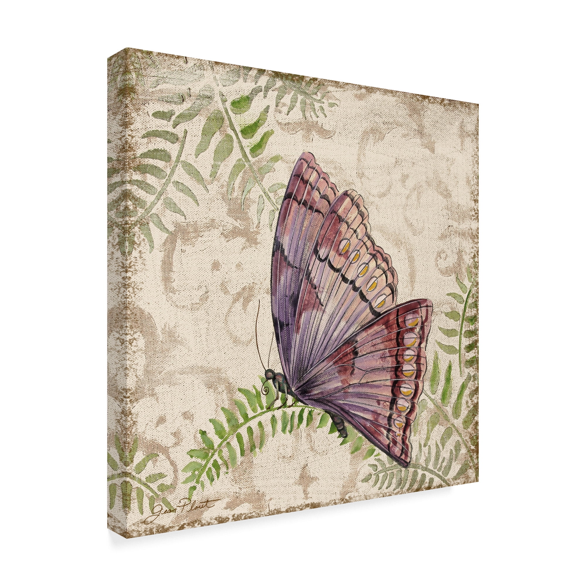 Trademark Fine Art 'Butterfly Daydreams 2' Canvas Art by Jean Plout