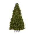 thumbnail image 3 of National Tree Company 10 ft Pre-Lit Dunhill Fir Full Artificial Christmas Tree, 1,200 LED Lights, 5,090 Tips, Foot Pedal, 10 Light Functions, Includes Stand, Green, 3 of 8