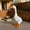 white01 #, variant on PLPPYFS Large Porch Goose Statue 13 inch Resin Garden Decor, Weatherproof Lawn Sculpture for Patio, Yard, Entryway - Indoor Outdoor Housewarming Gift (Multicolor)
