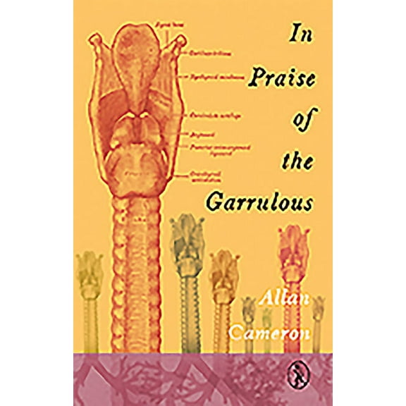 In Praise of the Garrulous (Edition 2) (Paperback)