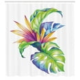 thumbnail image 3 of Ambesonne Plant Shower Curtain, Abstract Colored Leaves, 69"Wx75"L, Multicolor, 3 of 3