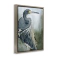 thumbnail image 3 of Stupell Industries Bayou King Bird Brown Framed Floater Canvas Wall Art design by Grace Popp, 31 x 25, 3 of 9
