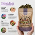 thumbnail image 4 of Zinnia Seeds Pack 1 oz - 3,800 Non-GMO Heirloom Flower Seeds for Planting, Annual Flowers in Individual Seed Packet for Planting Home Garden, 4 of 6