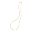 thumbnail image 2 of Floreo 14k Yellow Gold 5mm Lite Paperclip Chain Necklace, 2 of 3
