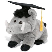 DolliBu Grey Boar Graduation Plush Toy - Soft Boar Plush Graduation Stuffed Animal Dress Up with Gown & Cap with Tassel Outfit - Congratulatory Graduation Gift - 7.5 Inches