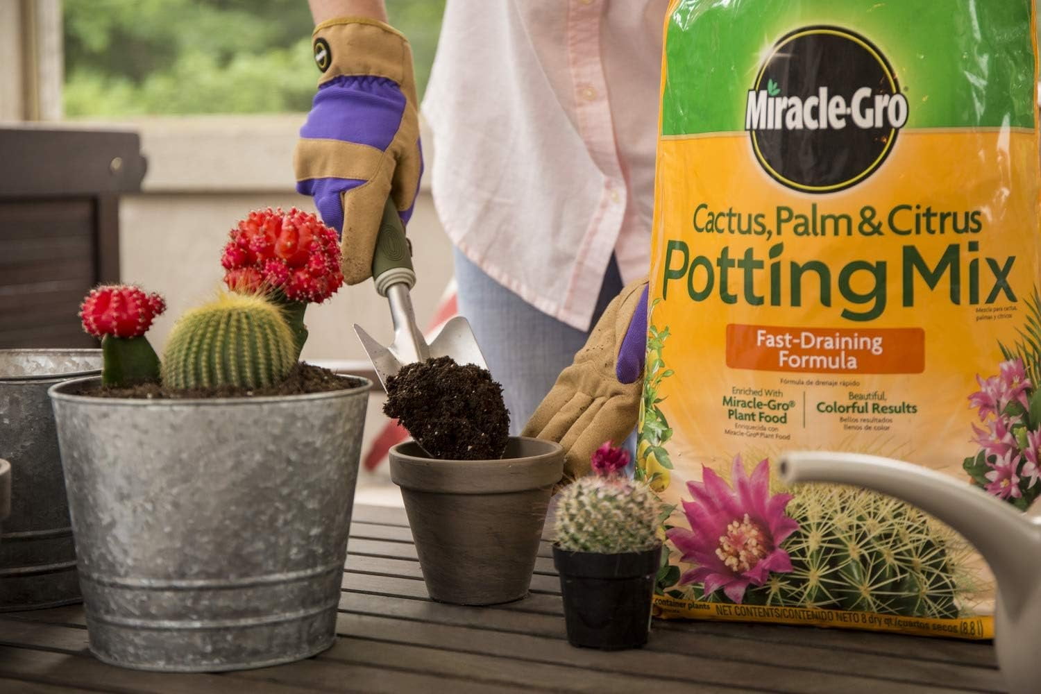 Miracle-Gro Cactus, Palm & Citrus Potting Mix, 8 qt. 3-Pack — Residential Use, Standard Application