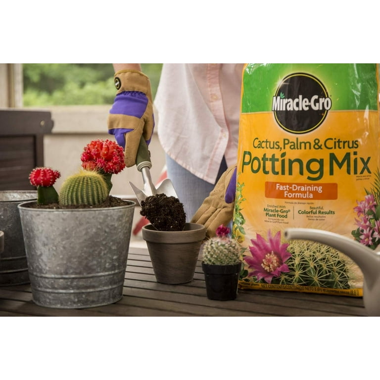 Miracle-Gro Cactus, Palm & Citrus Potting Mix, 8 qt. 3-Pack  Residential  Use, Standard Application