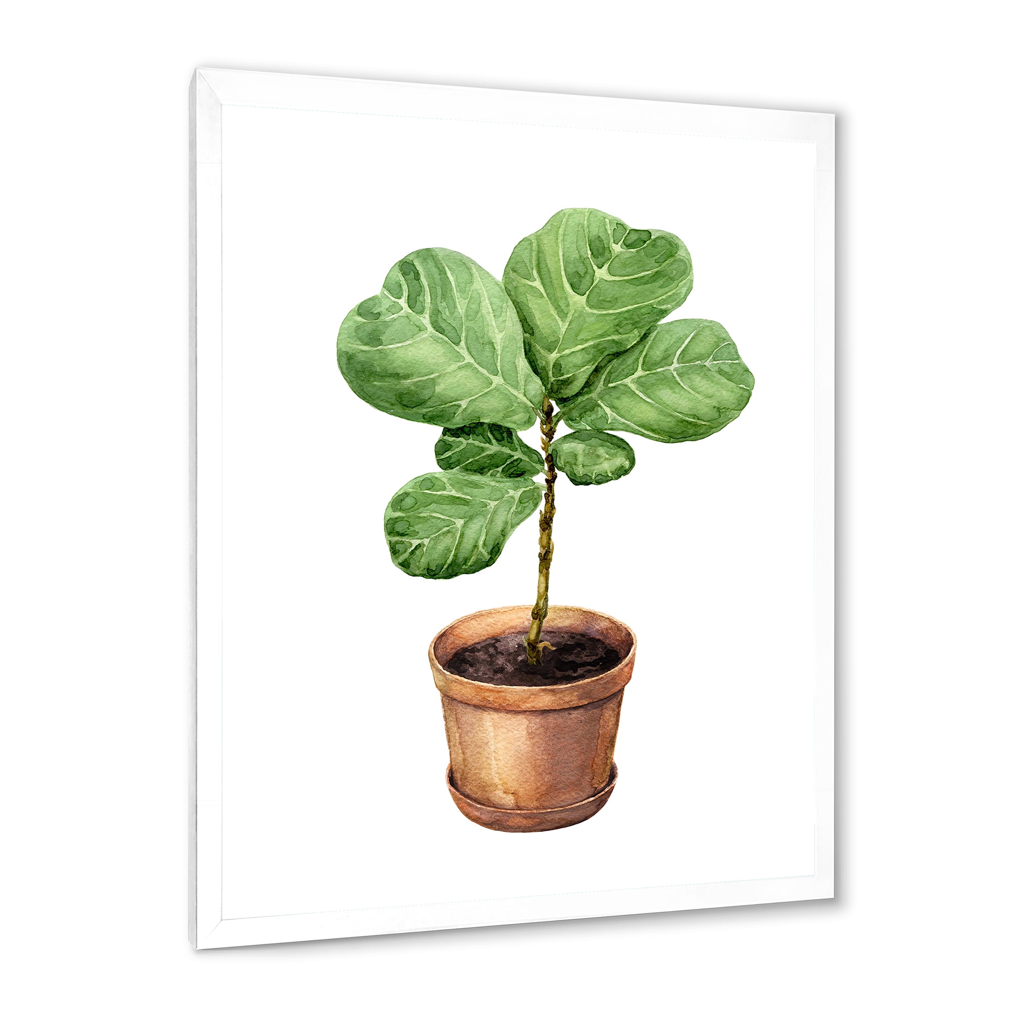 Designart 'Ficus Lyre Plant In Clay Flowerpot' Traditional Framed Art Print