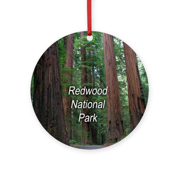 CafePress - Redwood National Park - Round Wood Ornament 4"