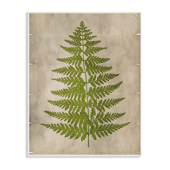 Stupell Industries Plant Drawing Green Parchment Design Unframed Art Print Wall Art, 10x15, by Ziwei Li