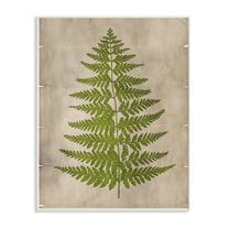 Stupell Industries Plant Drawing Green Parchment Design Unframed Art Print Wall Art, 10x15, by Ziwei Li