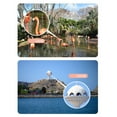 thumbnail image 4 of Blue Kids Detachable Telescope With 10X Magnification Outdoor Exploration Toy Binoculars For Bird Watching Hd Focus Adjustable Eyepiece Size 4.3X3.2X4.5 Inches, 4 of 7