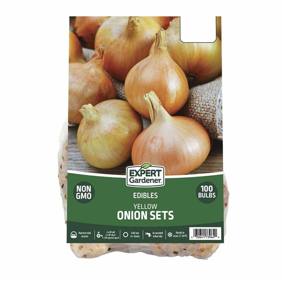 Expert Gardener Yellow Onion Sets - Full Sun Annual, Set of 100 Dormant Bulbs