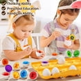 thumbnail image 2 of Juguete para clasificar huevos JUKUDAHU, adecuados para niños de 1 a 8 años, 2 of 9