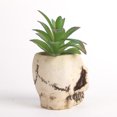 thumbnail image 4 of Skull Plant Pot Human Skull Artificial Craft Planter Supplies, 4 of 7