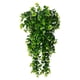 thumbnail image 2 of Enredaderas Artificiales 2 plantas artificiales colgantes de hiedra verde para decoración de interiores y exteriores,hogar,pared u oficina. Rkxzt, 2 of 9