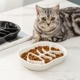 thumbnail image 3 of Comedero lento para perros, tazón de cerámica para perros y gatos, plato para perros, cuencos de comida de alimentación lenta para cachorros de Bulldog, perros medianos, dieta para mascotas Xemadio 2034761-1, 3 of 9
