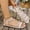B_ Beige, variant on Plus Size Women's Indoor Outdoor Flat Sandals, Solid Round Open Toe, Back Elastic Strap, Non-Slip Soft Sole Daily Footwear Black 37