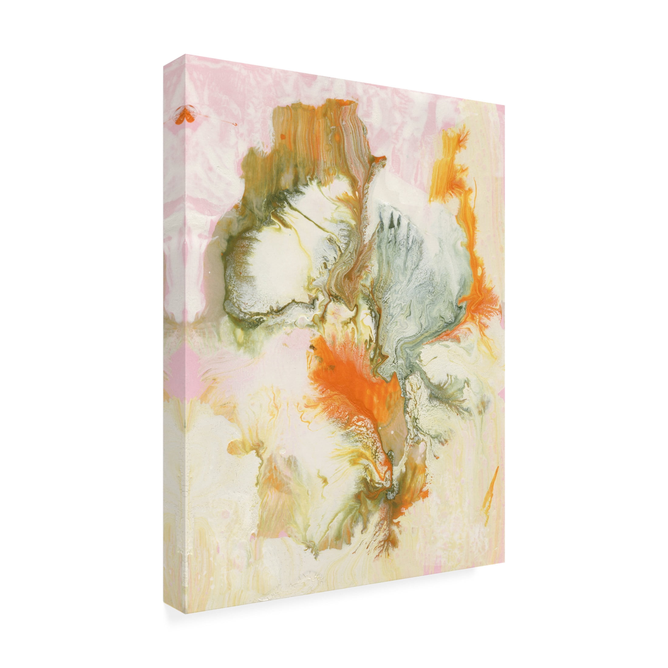 Trademark Fine Art Ferdos Maleki Sleeping Beauty II Canvas Wall Art