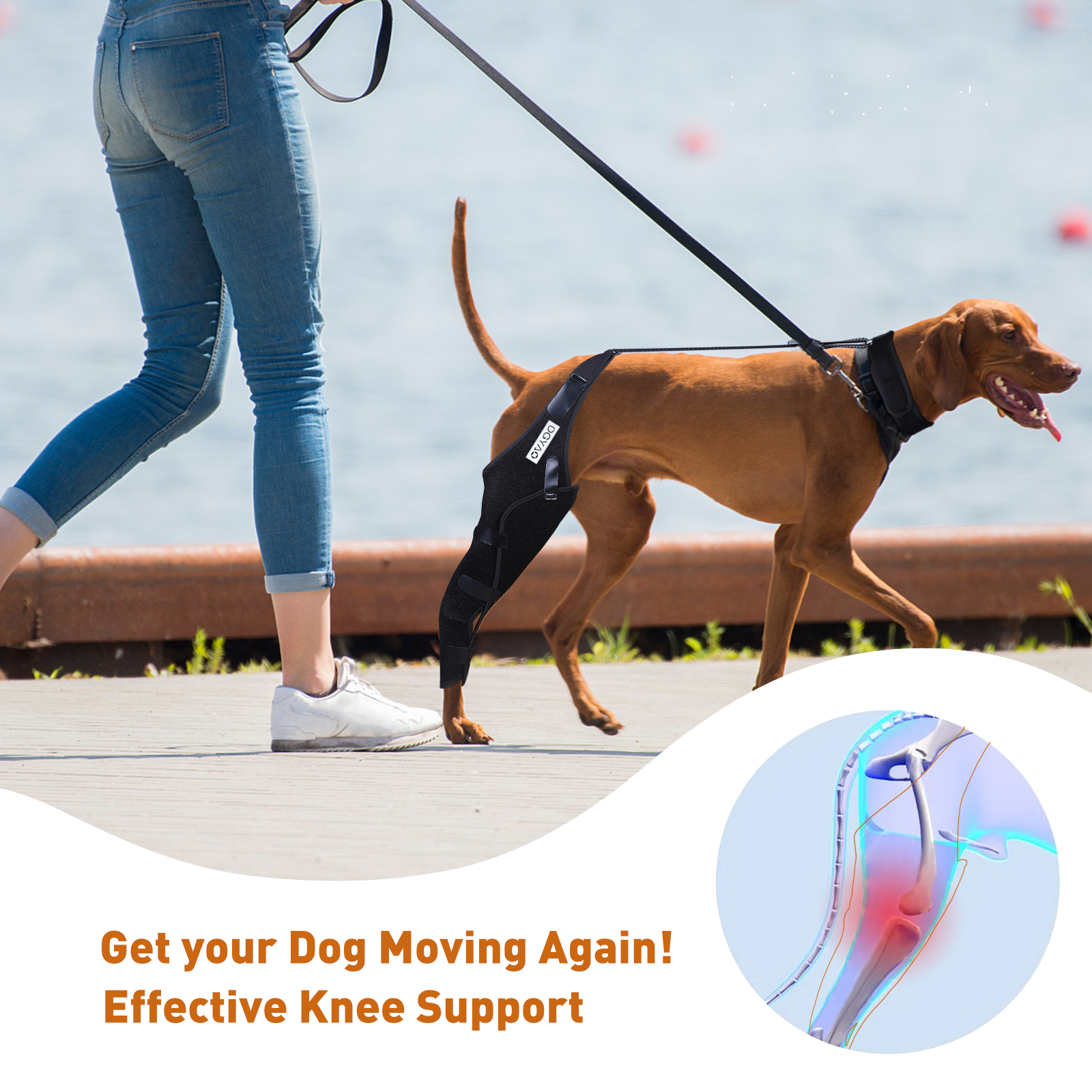 DGXINJUN Dog Knee Leg Brace Knee Cap Dislocation Arthritis Full Wrap Easy Adjustable